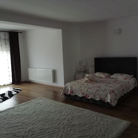 Adelina Apartment Schitu Exterior photo