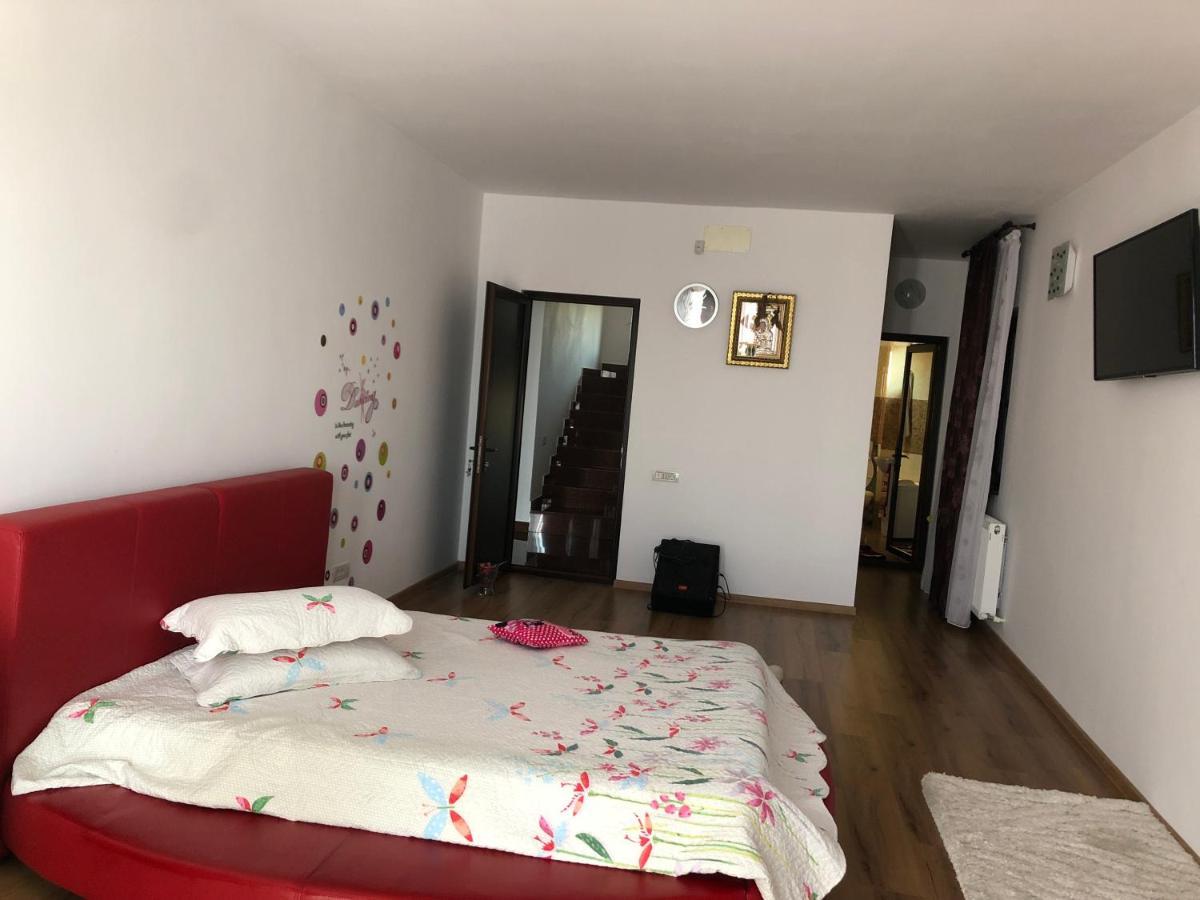 Adelina Apartment Schitu Exterior photo